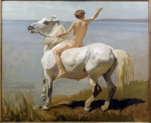 Jongen op een wit paard