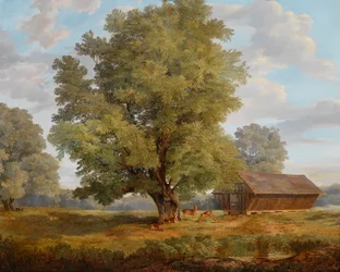 Herten in de Praterau