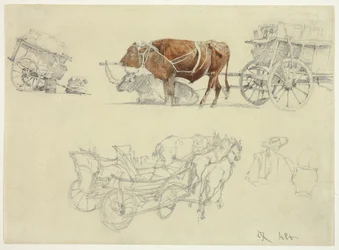 Studies van Slowaakse boerenwagens met ossen en paarden