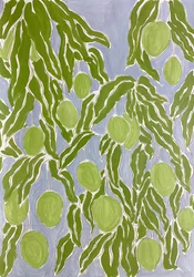 Groene citrusboomgaard