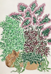 Kleurrijke potplanten