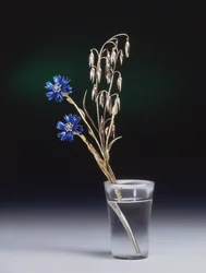 Korenbloemen en korenaren, Faberge Werkplaats, 1880s
