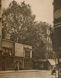 Een Bevoorrechte Inwoner van de Stad: De Plataan in Cheapside, ca. 1935