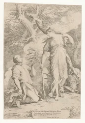 Ceres en Phytalus
