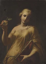 Goddelijke wijsheid, c.1663