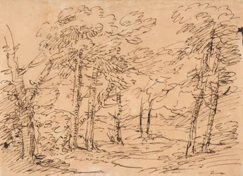 Landschap met bomen en bergen op de achtergrond