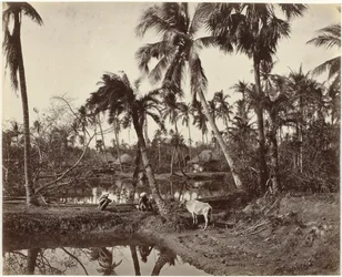 Dorpsgezicht in Bengalen, India