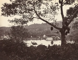Een Blik vanaf Upper Lake Road met Tempel en Eiland met Park -- fruitboom op de voorgrond