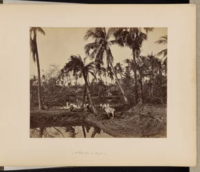 Calcutta; Rustieke taferelen en plattelandsleven in Bengalen
