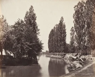 Rivier met bomen (India)