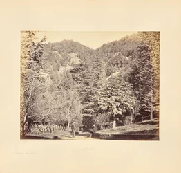 Simla; Jakko, van "Oakover" (Algemeen uitzicht vanaf de Tonga Road)
