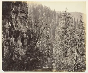 Zonder titel [kliffen en bomen], c. 1865
