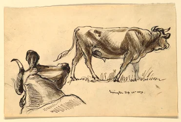 Tekening, Schetsen. Vee, Irvington, september 1876