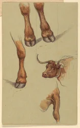 Tekening, Schetsen van Narragensett, Rhode Island, 1871