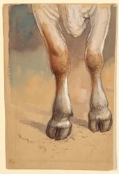 Tekening, Studies naar vee, 1871