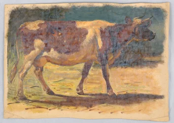Tekening, Studies. Koeien, augustus 1876