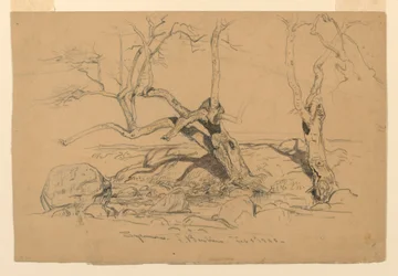 Tekening, Studies. Bomen, Santa Barbara, Californië, 3 februari 1888