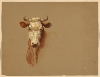 Tekening, Twee studies.  Vee, 1876