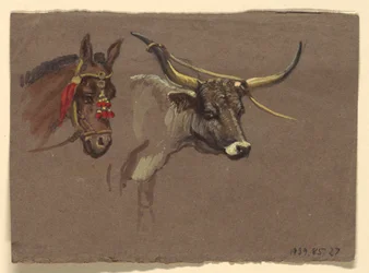 Hoofd van een Muilezel met een hoofdstel, Hoofd van een Buffel of Os
