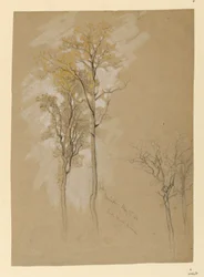 Eiken, Lady Wood Lane, Irvington
