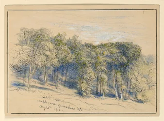 Studie van Maple Grove, Greensboro, Vermont