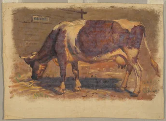Studie van een Grazende Koe