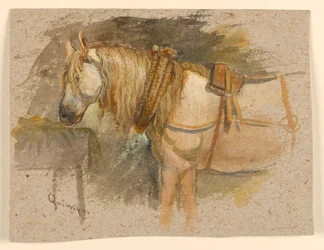 Studie van een Paard, Quimper, Bretagne