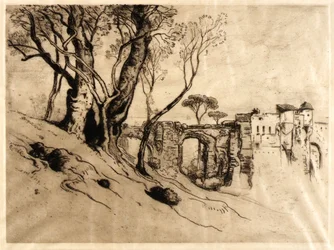 De olijfbomen van de Rivièra (uit de portfolio, Twenty Original