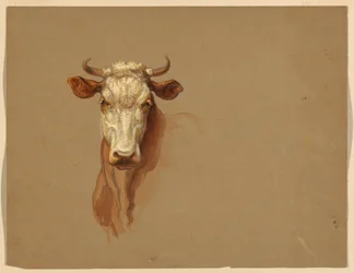 Twee Studies van Vee