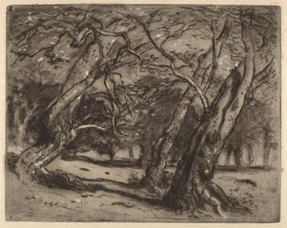Zonder titel (Boslandschap)