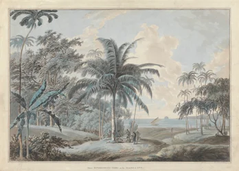 Bij Eucheconing Point, Java