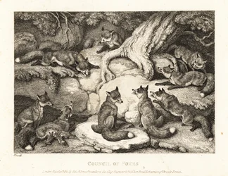 Een groep vossen ontmoet elkaar in een bos. 1811 (ets)
