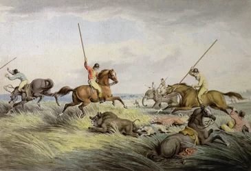 De varkensjacht - De dood, uit 