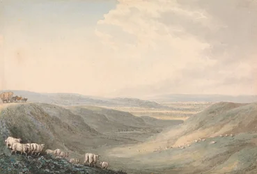 Valleilandschap met schapen