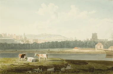 Uitzicht over de drijvende haven, met St. George