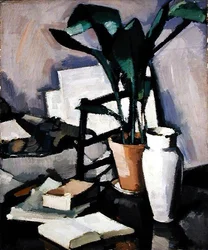 Aspidistra
