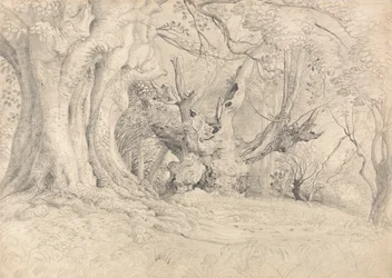 Oude Bomen, Lullingstone Park