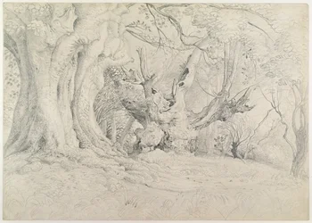 Oude bomen, Lullingstone Park, 1828