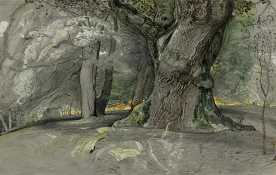 Eik en beuk, Lullingstone Park
