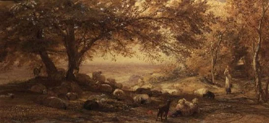 Schaduwrijke rust