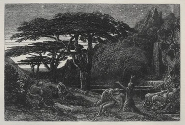 Het cipressenbos, 1883