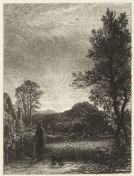 De veldleeuwerik