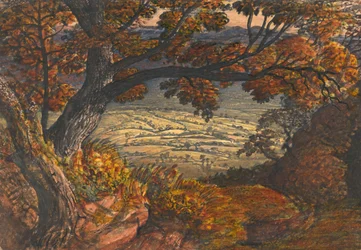 Het Weald van Kent