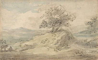 Landschap