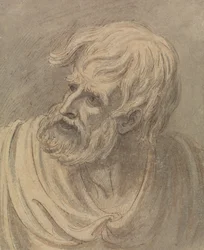 Hoofd van een man met een baard die naar links kijkt
