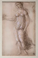 Pallas