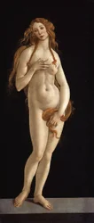 German: Venus Venus