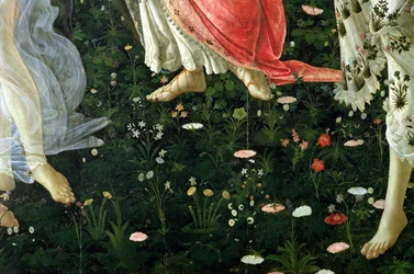 Primavera: detail van bloemen