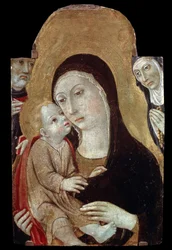 De Madonna en Kind met heiligen