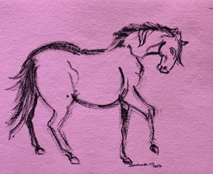 Dynamische paardencontour